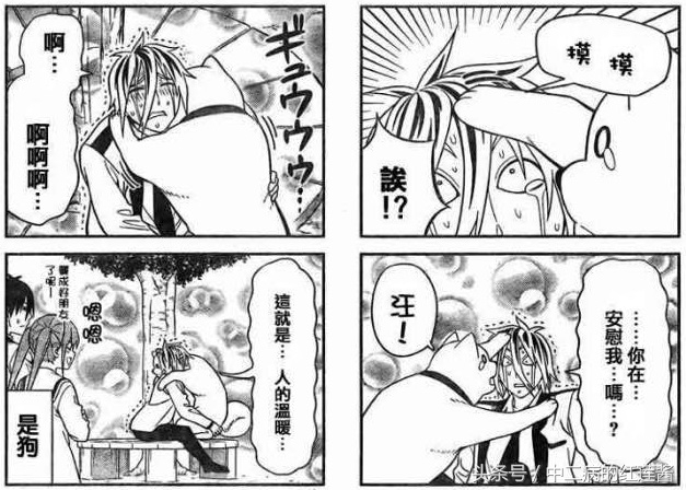 《笨女孩》被一个笨蛋带坏的小镇，唯独这条狗全面过人