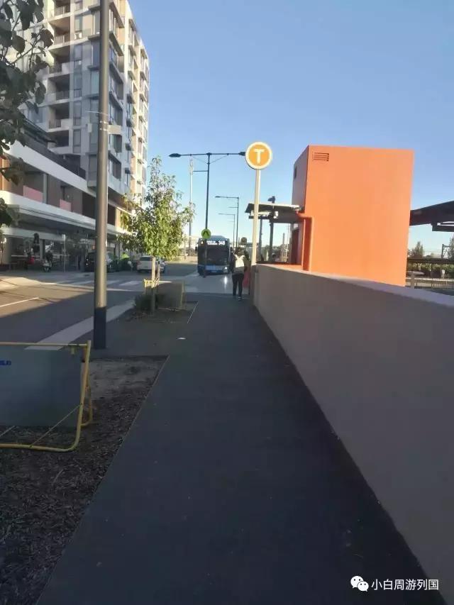 小白穷游澳洲系列之悉尼交通篇：妹子教你如何省钱乘*交坐**通工具