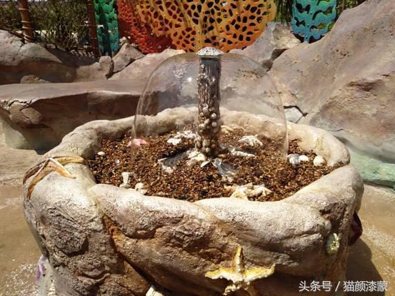 锐丽异类的上海之旅:坚果Pro畅玩迪士尼