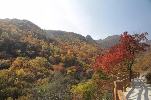 蒙辽冀交界处,蒙冀辽交界处