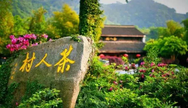 吃遍杭州100家苍蝇馆子,吃遍100家店杭州