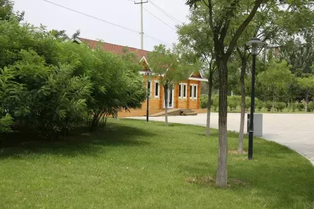 醉美西城｜“城在绿中人在景中”探访绿荫之下的回民区