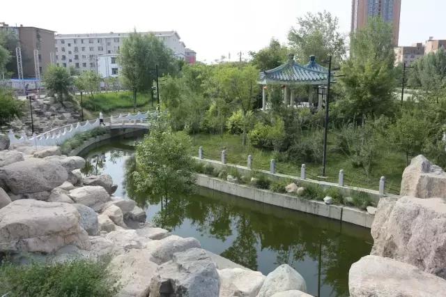 醉美西城｜“城在绿中人在景中”探访绿荫之下的回民区