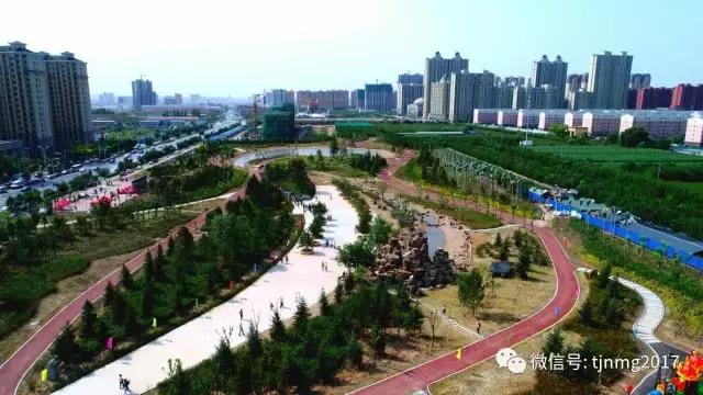 醉美西城｜“城在绿中人在景中”探访绿荫之下的回民区