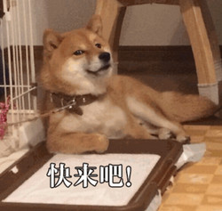 成年人如何自学弹钢琴 (成年人适合弹钢琴吗)