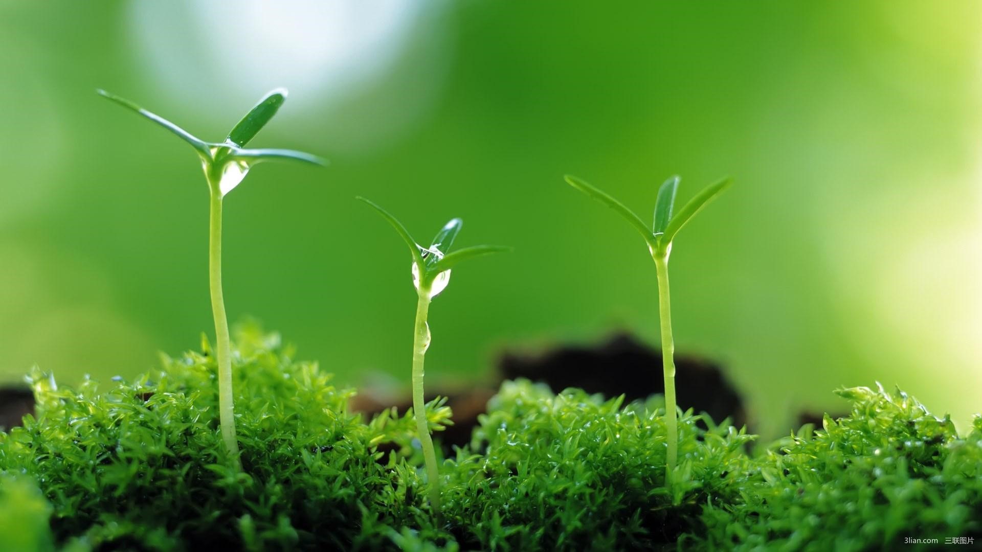 化疗生不如死的原因,化疗是不是不好还不如顺其自然