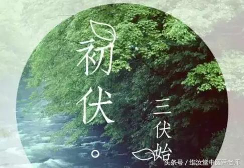 三伏天菖蒲和艾草泡脚好吗,天天用艾草泡脚有没有副作用