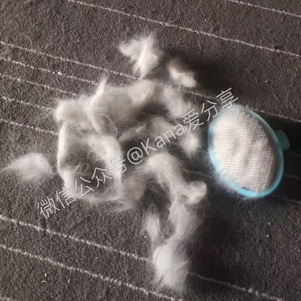 猫毛难剃,猫毛难拔怎么办
