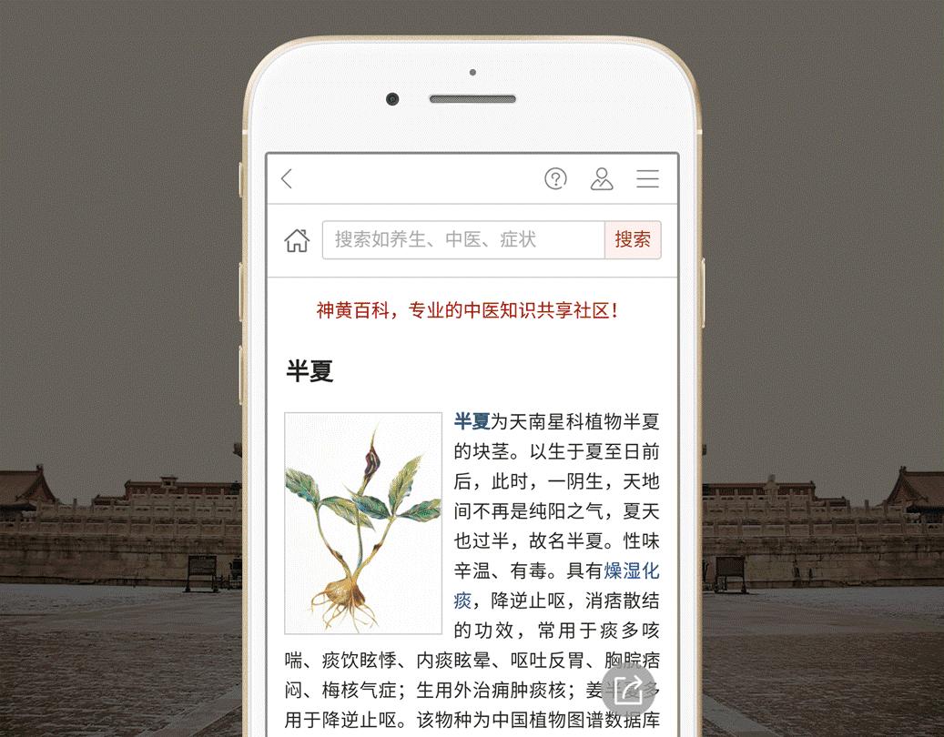 解表药之麻黄——用药经验分享：发汗平喘宜麻黄，利尿消肿功效强；外感风寒身无汗，痹痛咳喘水肿良