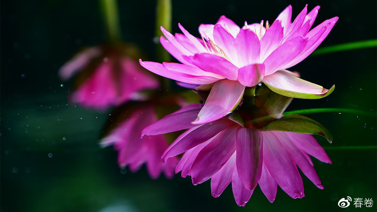 尼康和腾龙合作的镜头,尼康腾龙长变焦镜头比较