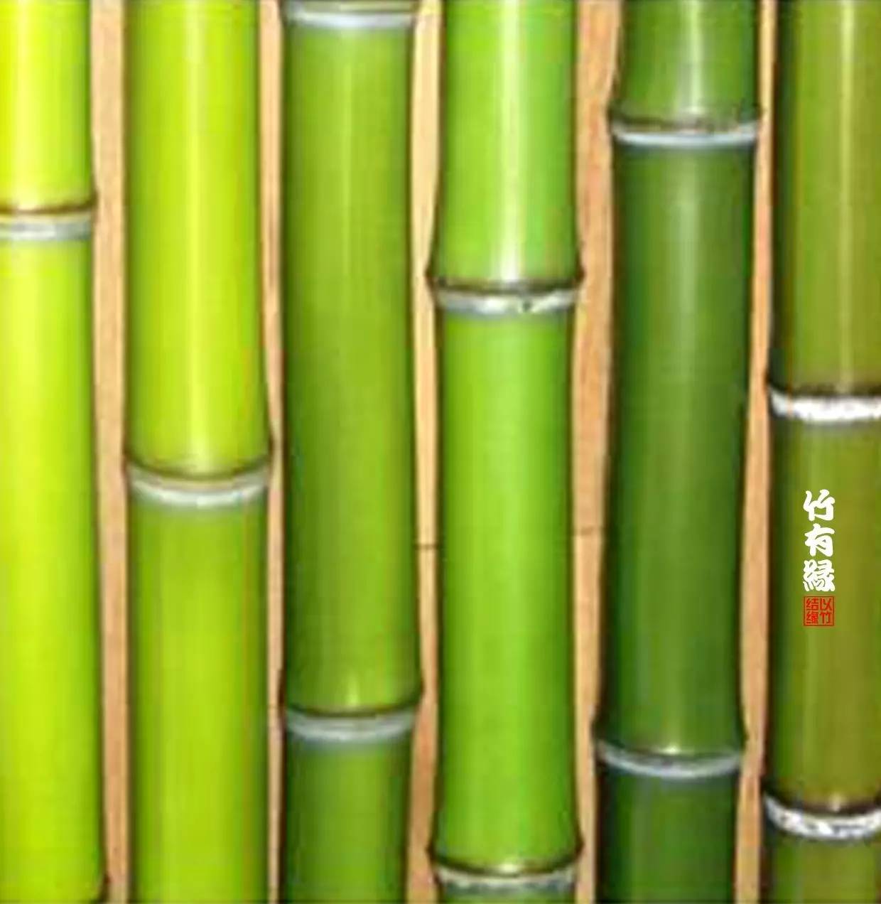 竹子染色水,竹子怎么无药染色