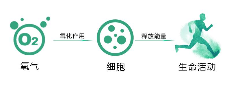 吸氧的流程和注意事项口述,吸氧的简单操作步骤