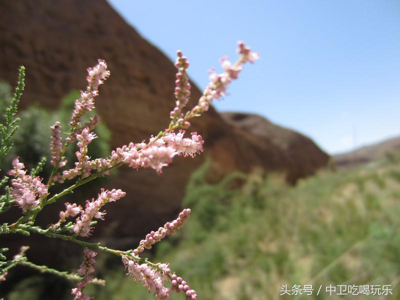 中卫寺口子大峡谷值不值得去,中卫寺口奇峡