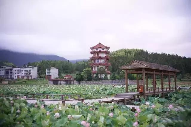周宁旅游攻略一日游,周宁避暑旅游攻略