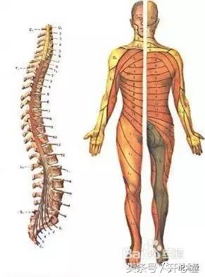 内家拳浑圆桩功效,武术内家拳养生桩