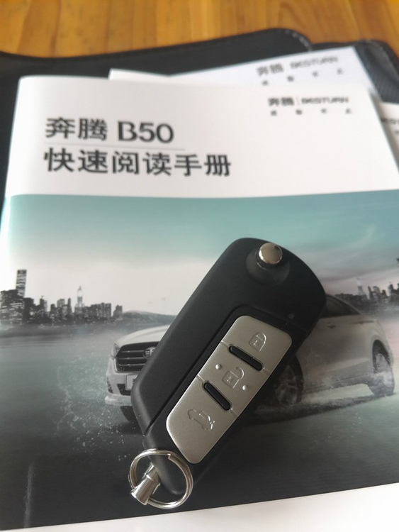 国产高颜值b级车,国产b级神车