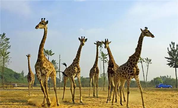 京津冀,听说你们缺一份避暑攻略?驿雲小编已给你们备好!