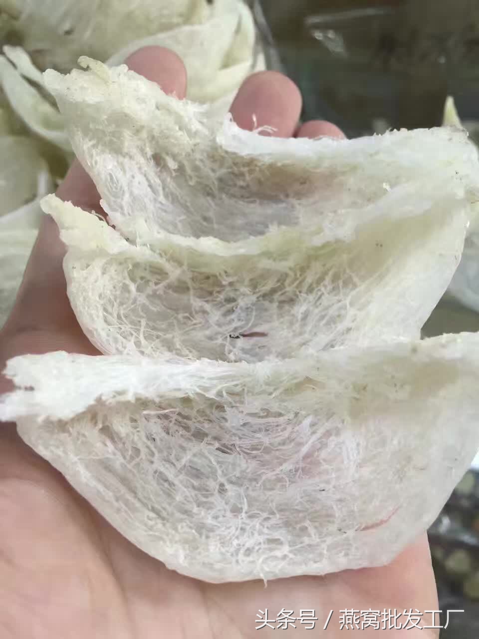 孕妇吃燕窝真实经历,孕妇即食燕窝真假