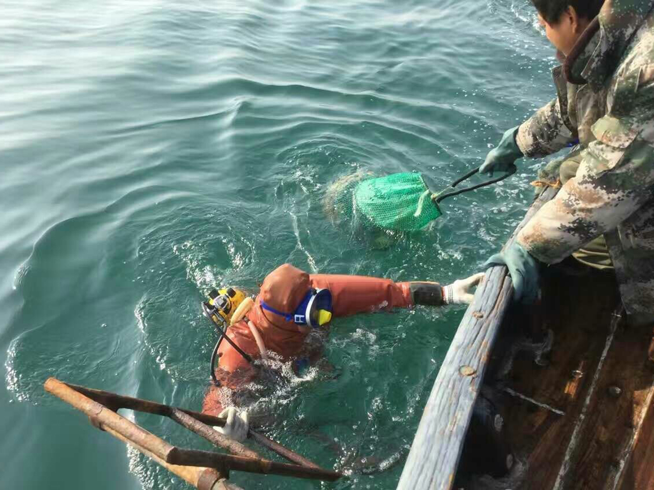遇到一个敢说真话的老农，颠覆了我对“食品安全”的认知