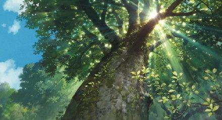 小说你若盛开清风自来,你若盛开清风自来作文