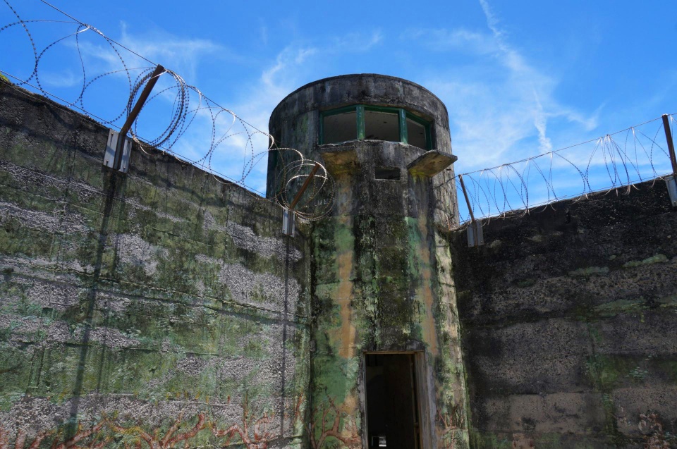 金门三大特产,金门岛有何土特产