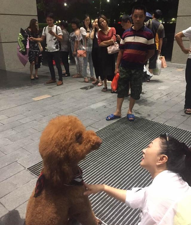 这么大的泰迪输出肯定不比人差，难怪这么多女的喜欢