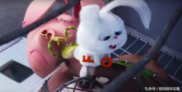 神偷奶爸3有多少个彩蛋 (神偷奶爸3彩蛋)