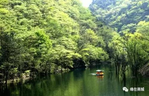 盛夏七月,商城县这几个地方被避暑游客挤爆了……