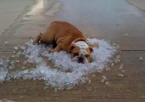 ‘’先救妈！天热，让我在水里待会！”‘’先救女朋友，让妈在水里待会！”