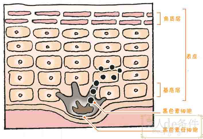 娜扎的防晒方法,娜扎防晒很重要