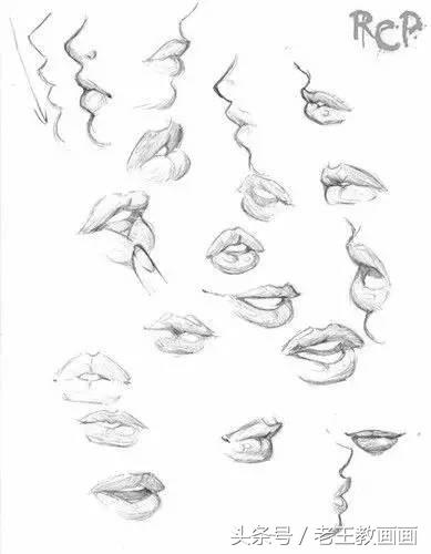 教100个零基础小白画画,100个适合零基础学习的画画教程