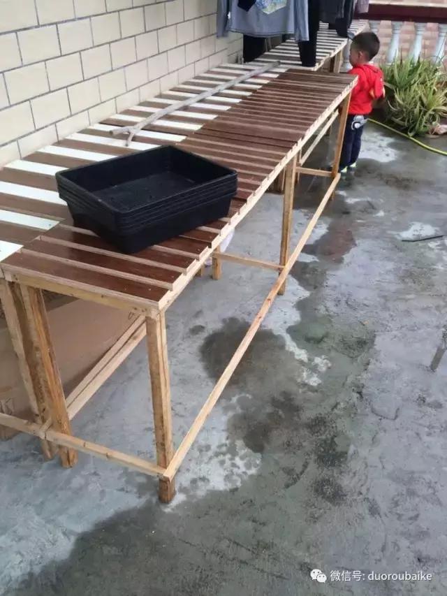 自制多肉花架最简单的方法,自制多肉花架子