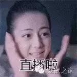 写给猪猪小情书,盘点猪猪最好听的歌