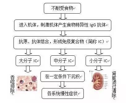 明星都逃不掉的事,健康Q博士说不定有办法