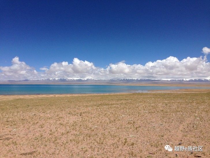 我与“她”可可西里二十天零距离的故事