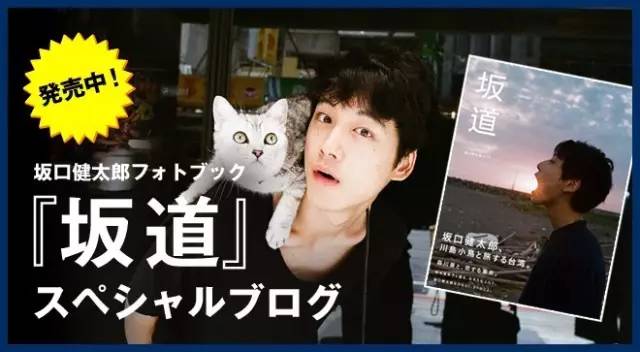 坂口健太郎|一个像薄荷糖一样清新的盐系boy