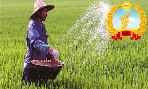 农友撒尿素,农民对化肥认知错误