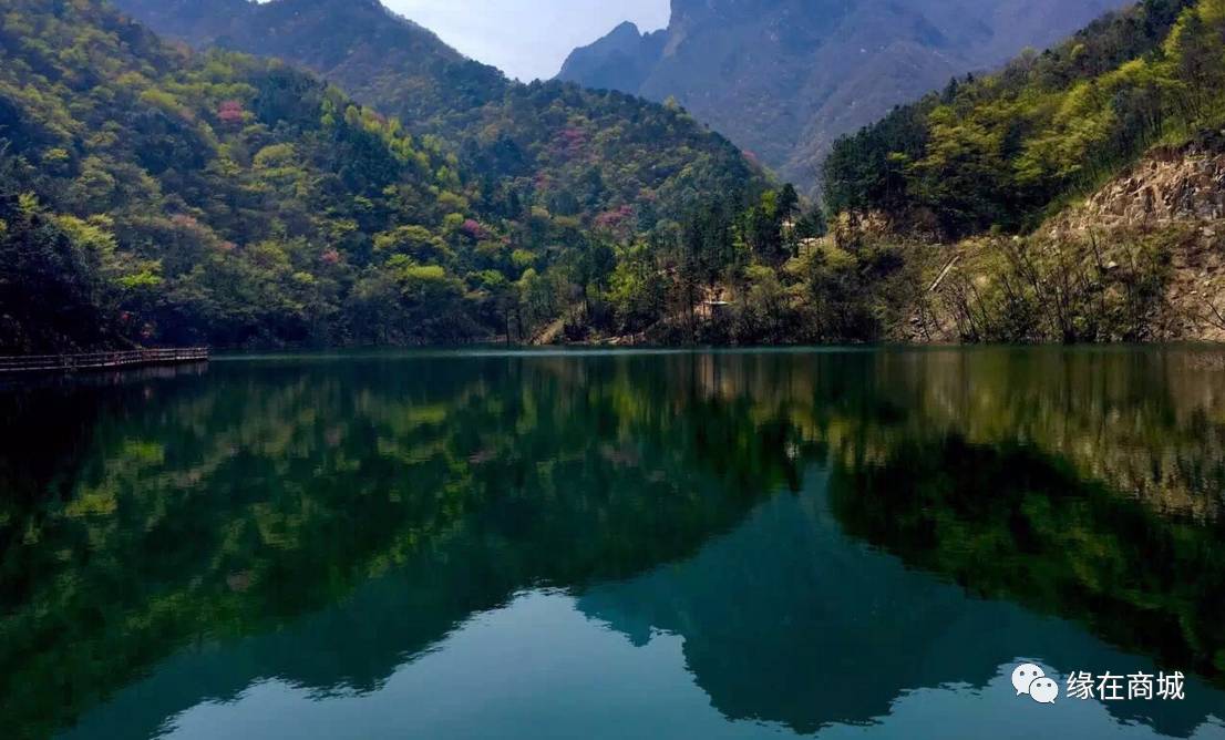 盛夏七月,商城县这几个地方被避暑游客挤爆了……