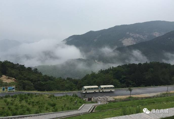 盛夏七月,商城县这几个地方被避暑游客挤爆了……