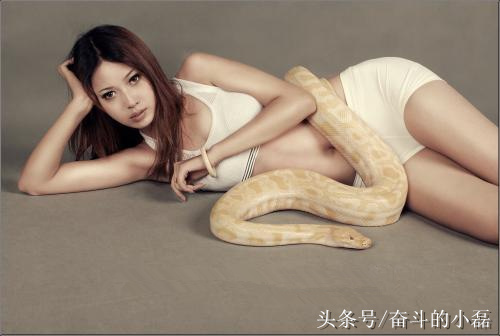 创业故事:女财迷蛇窝淘金财富险中求,一年销售额达到400多万元