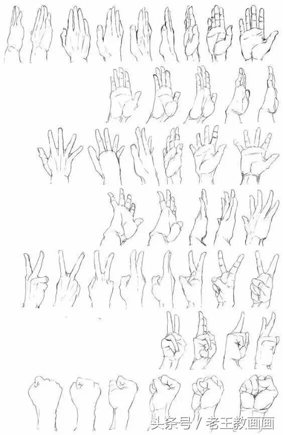 教100个零基础小白画画,100个适合零基础学习的画画教程