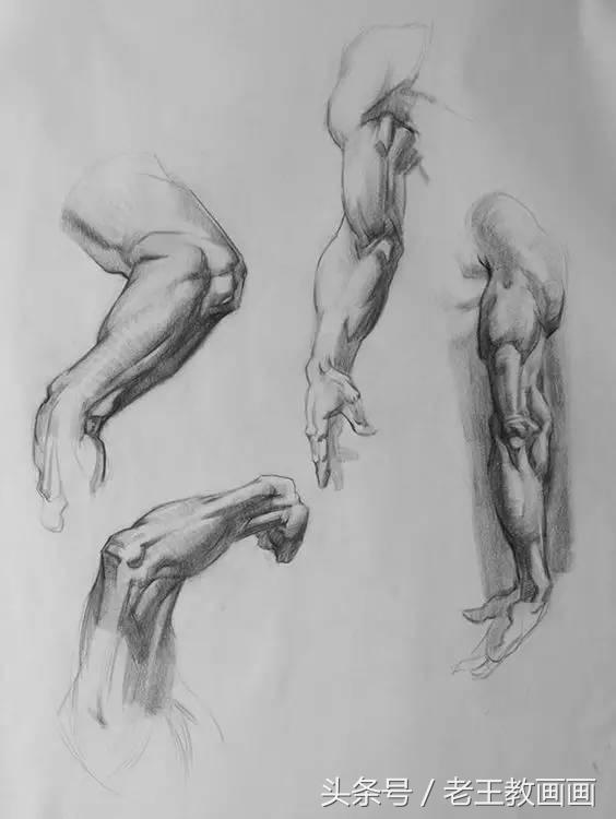 教100个零基础小白画画,100个适合零基础学习的画画教程