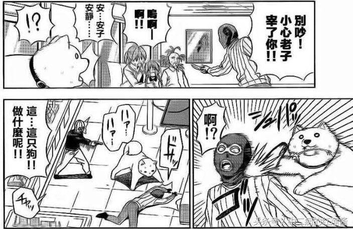 《笨女孩》被一个笨蛋带坏的小镇，唯独这条狗全面过人