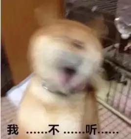 复合大师吐槽,复合大师搞笑台词