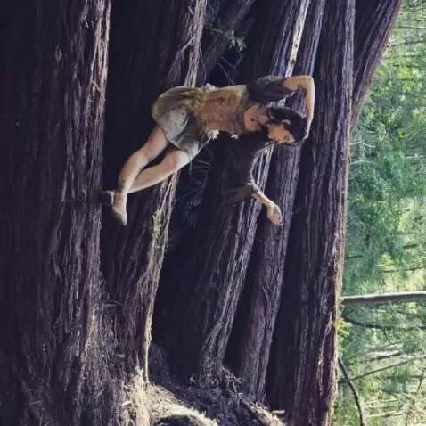 美国旅游10个必去的地方,美国加州有什么好玩的地方