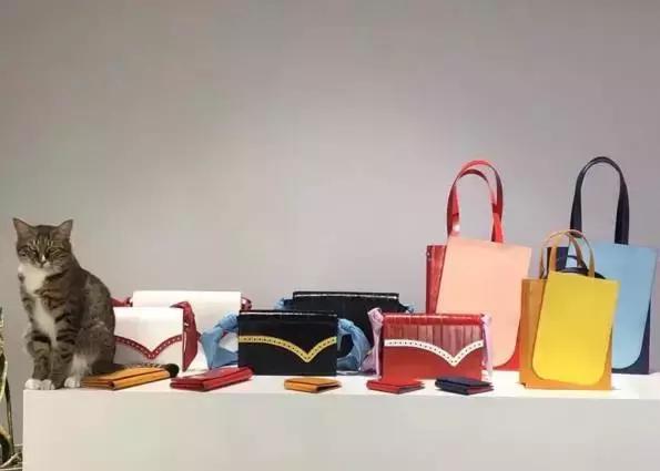 包包小众品牌大全排名,小众品牌包包排行榜前十名