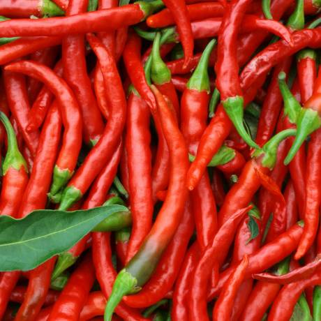 健脾祛湿气最有效的方法,怎么祛湿气最有效的方法