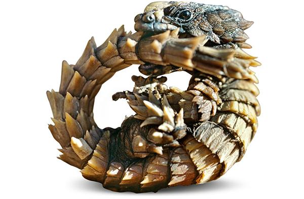 震惊!爬虫类竟会使“三十六计”(四)