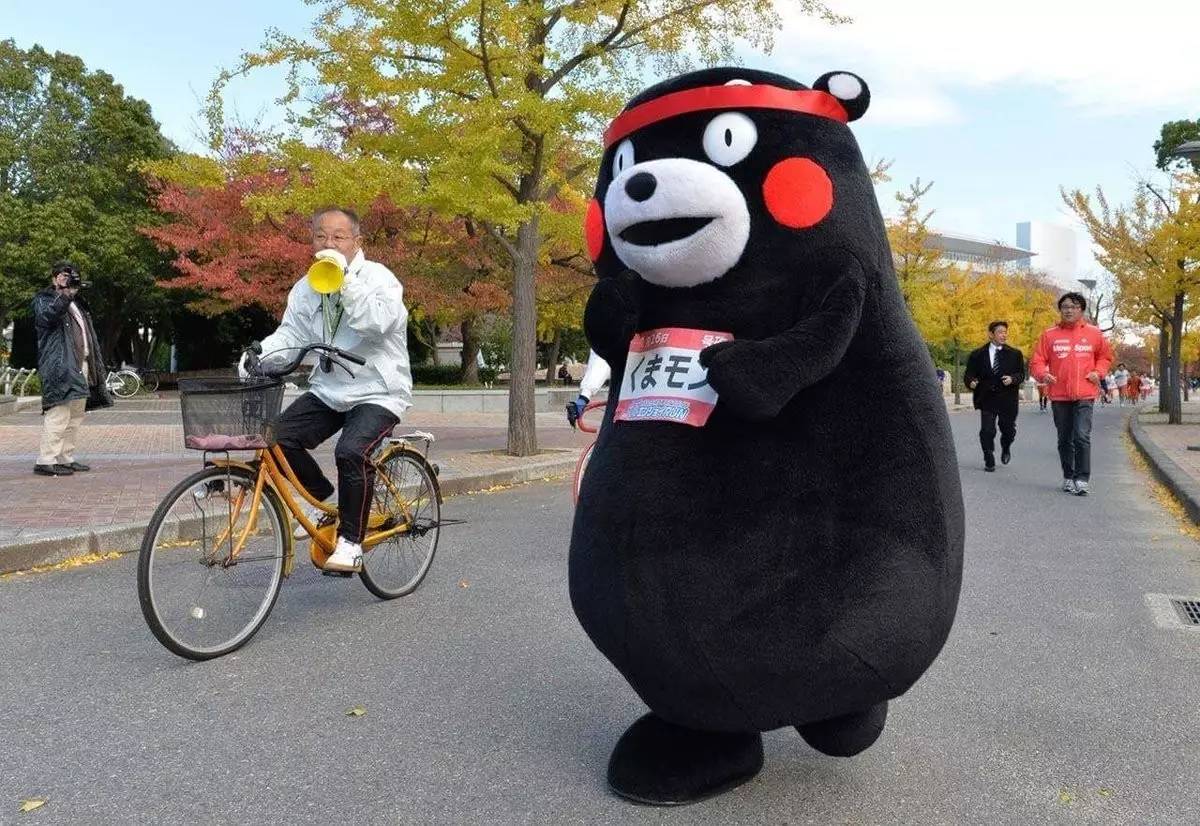 捕杀流浪猫狗的国家,大量捕杀流浪猫犯法吗