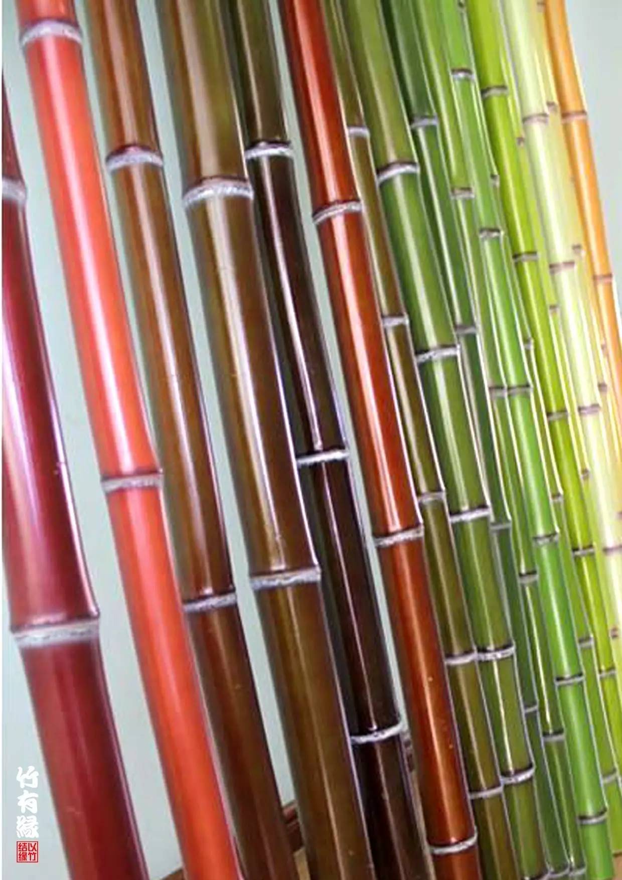 竹子染色水,竹子怎么无药染色